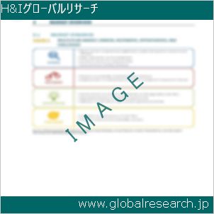グローバルリサーチ調査レポートのイメージ